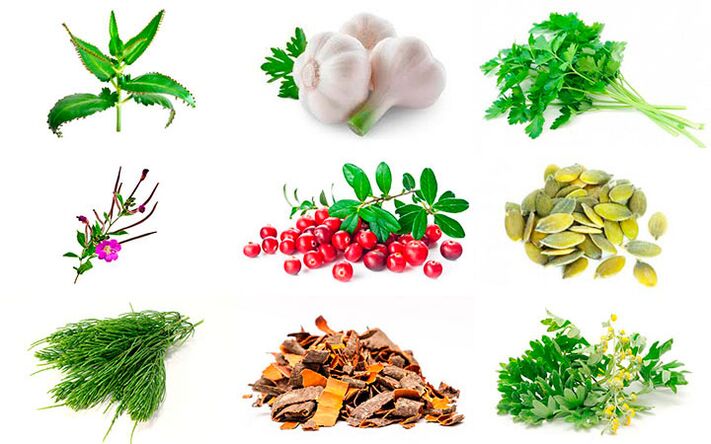 tautas līdzekļi prostatīta ārstēšanai